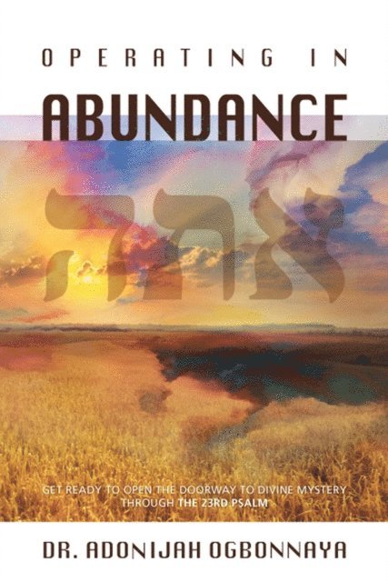 Adonijah Ogbonnaya - Operating in Abundance, E-bok
