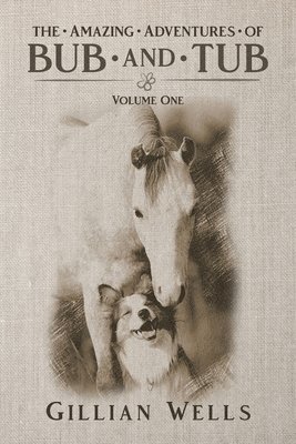 Gillian Wells - Adventures of Bub & Tub Volume One, Häftad