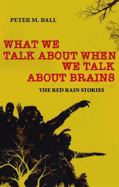 Peter M. Ball - What We Talk About When We Talk About Brains, E-bok