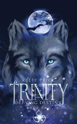 Kylie Price - Trinity - Defying Destiny, Häftad
