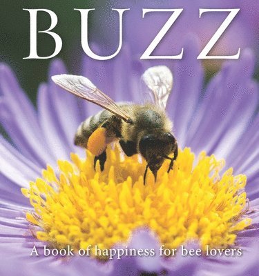 Adam Langstroth - Buzz, Inbunden