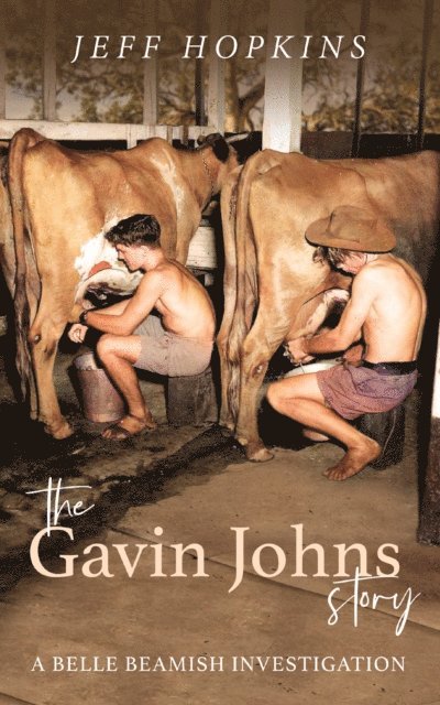 Jeff Hopkins - Gavin Johns Story: A Belle Beamish Investigation, E-bok. Tillgänglighet: Lägg i varukorg