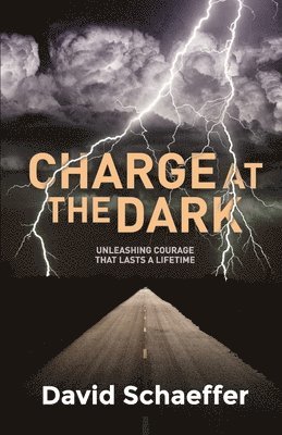 David Schaeffer - Charge at the Dark, Häftad