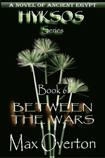 Max Overton - Between the Wars, E-bok