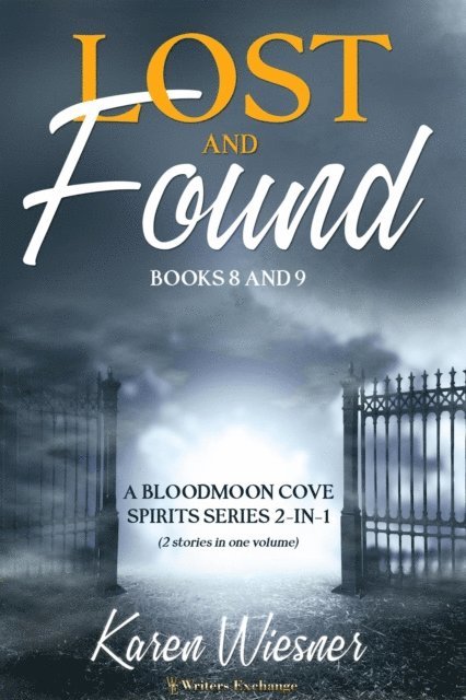 Karen Wiesner - Lost and Found, E-bok
