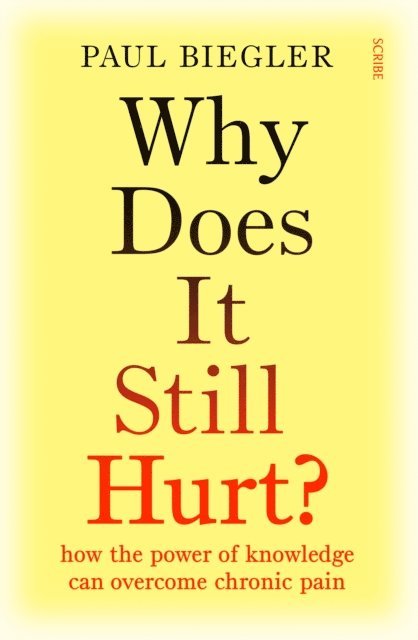 Paul Biegler - Why Does It Still Hurt?, E-bok