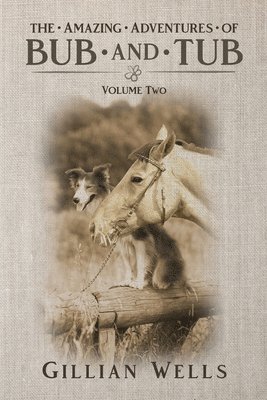 Gillian Wells - Adventures of Bub & Tub, Häftad