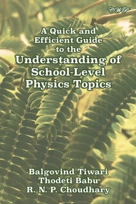 Balgovind Tiwari, Thodeti Babu, R N P Chaudhary - Quick and Efficient Guide to the Understanding of School-Level Physics Topics, Häftad