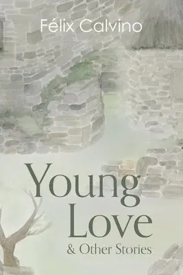 Felix Calvino - Young Love and Other Stories, Häftad. Tillgänglighet: Lägg i varukorg