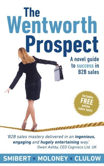 Wentworth Prospect: A novel guide to success in B2B sales