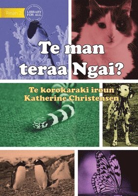 Katherine Christensen - What Animal am I? - Te man teraa Ngai? (Te Kiribati), Häftad