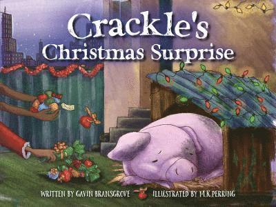 Gavin Bransgrove - Crackle's Christmas Surprise, Häftad