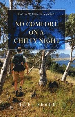 Noel Braun - No Comfort on a Chilly Night: Can an old flame be rekindled?, Häftad