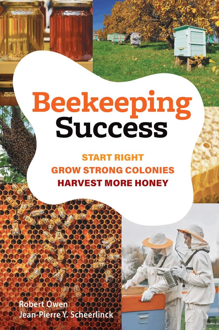 Robert Owen, Jean-Pierre Scheerlinck - Beekeeping Success, Häftad