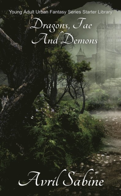 Avril Sabine - Once Upon A Time A Long Time Ago: Young Adult Fairytales Retold Collection, E-bok