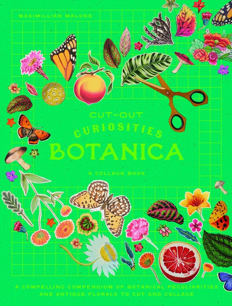 Maximillian Malone - Cut-out Curiosities: Botanica, Häftad