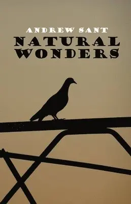 Andrew Sant - Natural Wonders, Häftad. Tillgänglighet: Lägg i varukorg