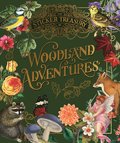 Sticker Treasury of Woodland Adventures