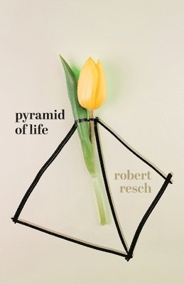 Robert Resch - Pyramid of Life, Häftad. Tillgänglighet: Lägg i varukorg