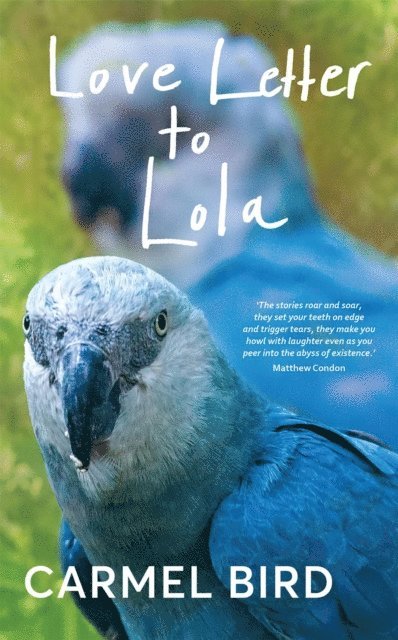 Carmel Bird - Love Letter to Lola, E-bok