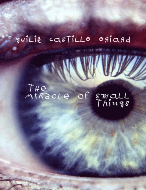 Guilie Castillo Oriard - Miracle of Small Things, E-bok