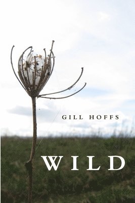 Gill Hoffs - Wild, Häftad