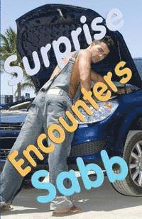 Sabb - Surprise Encounters: A Gay Erotica Anthology, Häftad