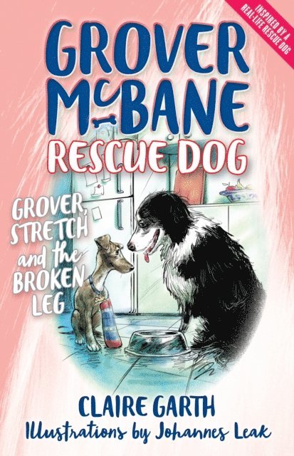Claire Garth - Grover, Stretch and the Broken Leg, E-bok