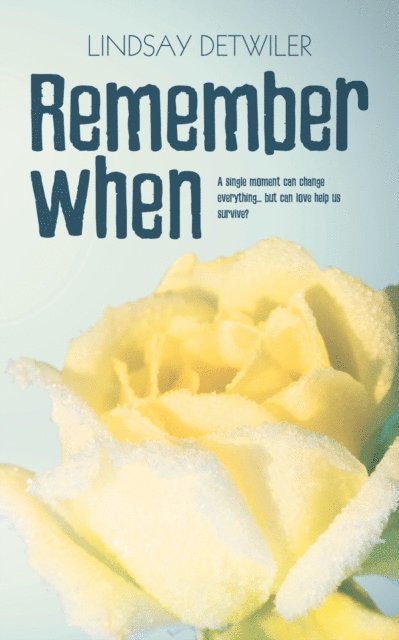 Lindsay Detwiler - Remember When, E-bok