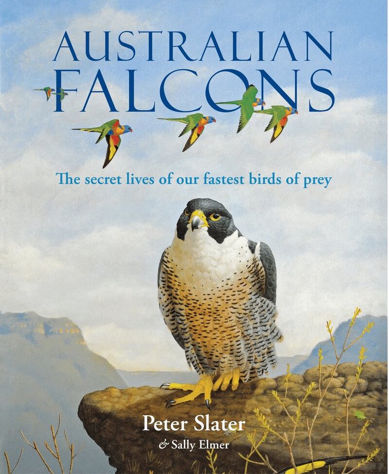 Peter Slater, Sally Elmer - Australian Falcons, Inbunden. Tillgänglighet: Lägg i varukorg
