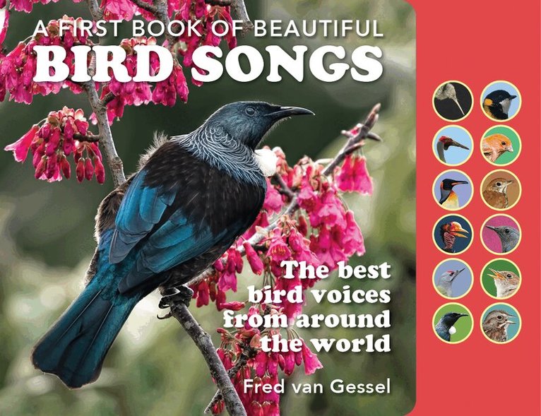 Fred Van Gessel - First Book of Beautiful Bird Songs, Kartonnage. Tillgänglighet: Lägg i varukorg