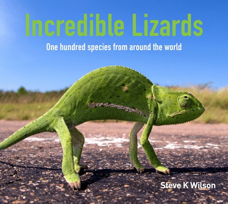 Steve K. Wilson - Incredible Lizards, Inbunden. Tillgänglighet: Lägg i varukorg