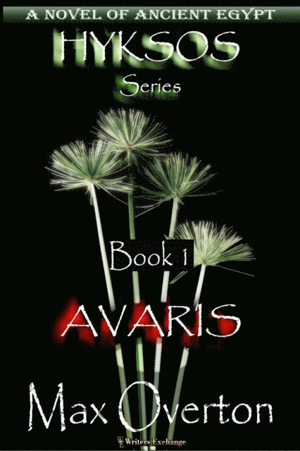 Max Overton - Avaris, E-bok