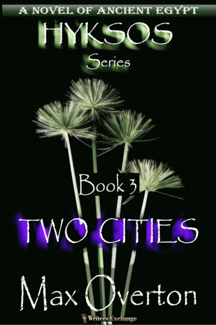 Max Overton - Two Cities, E-bok