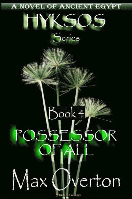 Max Overton - Possessor of All, E-bok