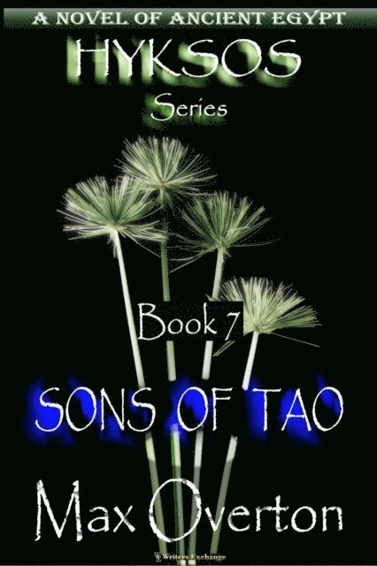 Max Overton - Sons of Tao, E-bok