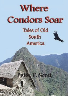 Peter T Scott - Where Condors Soar, Häftad. Tillgänglighet: Lägg i varukorg