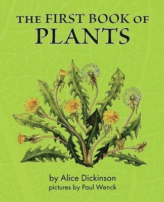 Alice Dickinson - First Book of Plants, Häftad