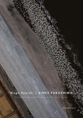 Ryoichi Wago - Since Fukushima, Häftad
