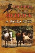 Brumbies in the Outback