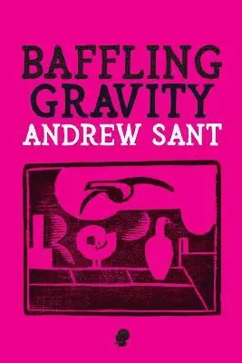 Andrew Sant - Baffling Gravity, Häftad. Tillgänglighet: Lägg i varukorg