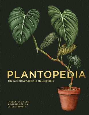 Plantopedia av Lauren Camilleri, Sophia Kaplan