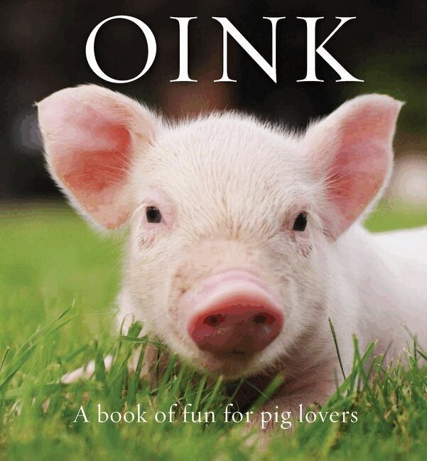 Renee Hollis - Oink, Inbunden. Tillgänglighet: Tillfälligt slut