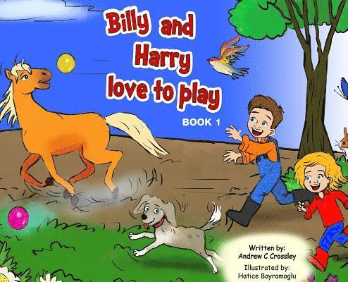 Andrew Crossley - Billy and Harry Love to Play, Inbunden. Tillgänglighet: Lägg i varukorg