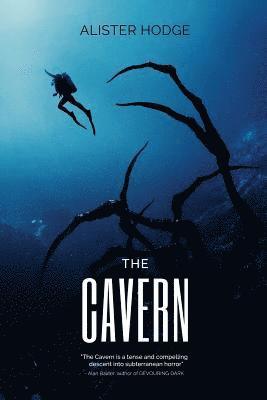 Alister Hodge - The Cavern, Häftad. Tillgänglighet: Lägg i varukorg
