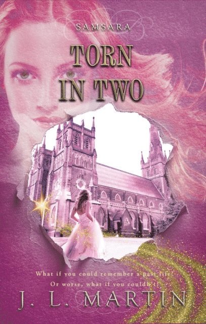 J L Martin - Torn in Two, E-bok