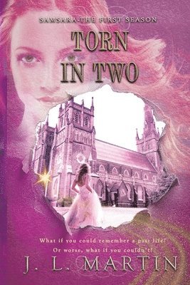 J L Martin - Torn In Two, Häftad