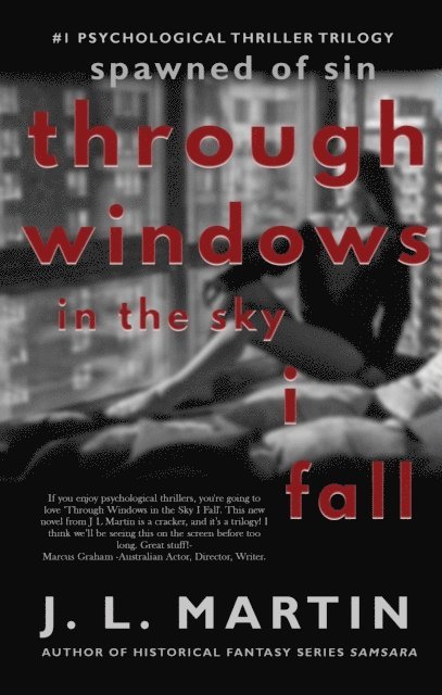 J L Martin - Through Windows In The Sky I Fall, E-bok