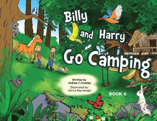 Andrew Crossley - Billy and Harry Go Camping, Häftad. Tillgänglighet: Lägg i varukorg