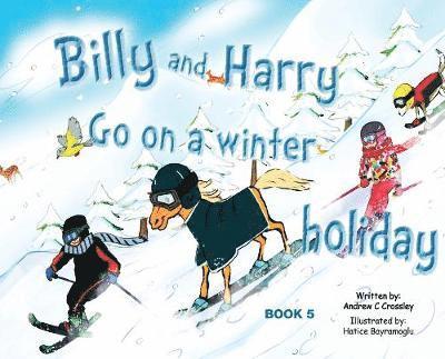 Andrew Crossley - Billy and Harry Go on a Winter Holiday, Inbunden. Tillgänglighet: Lägg i varukorg